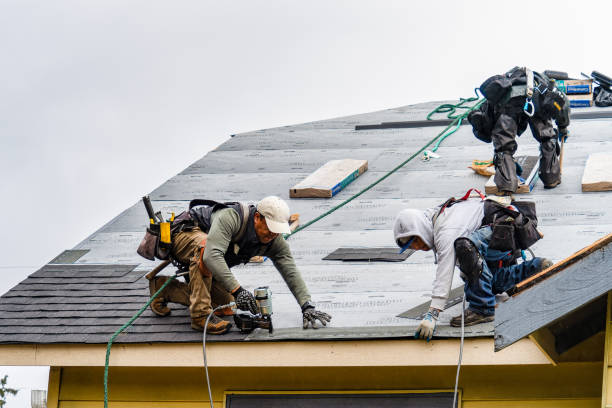 Professional Roof Repair technician working in Hague, VA